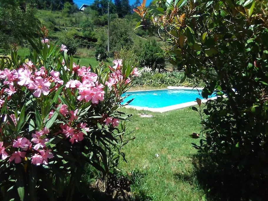 Villa Au Calme Avec Grande Piscine Villerest